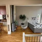 Stylish House With Large Windows